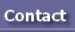 Contact Officers